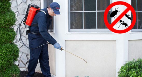 Esenyurt Kene İlaçlama böcek ilaçlama ve haşere kontrolü — ilaclama-tr.com